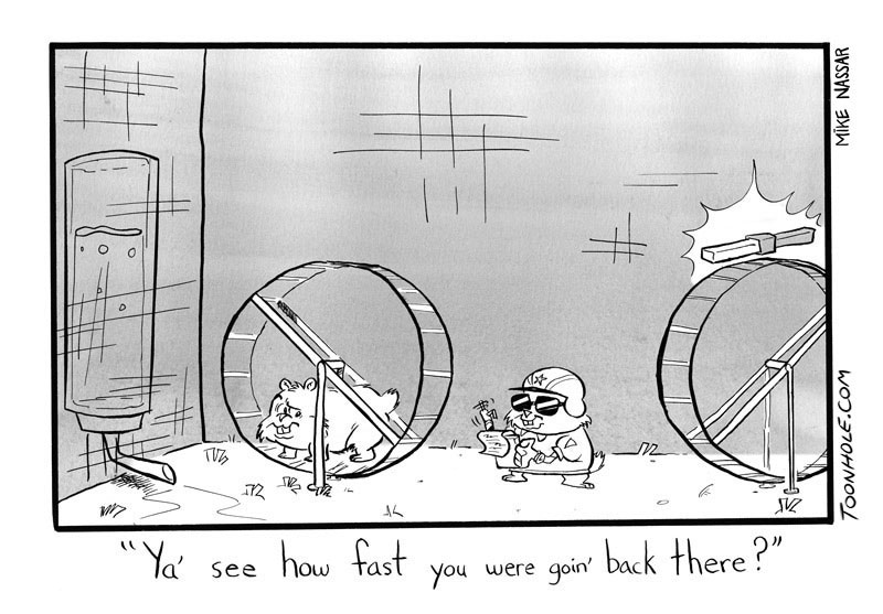 Fast Hamster