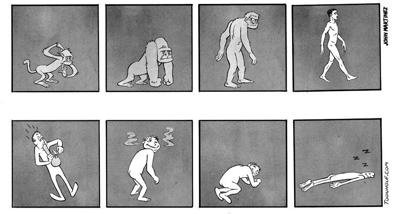 Evolution