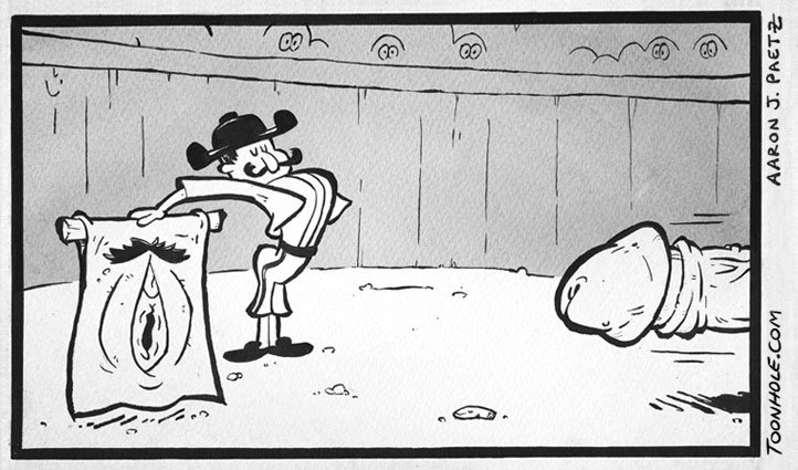 Bull Fight