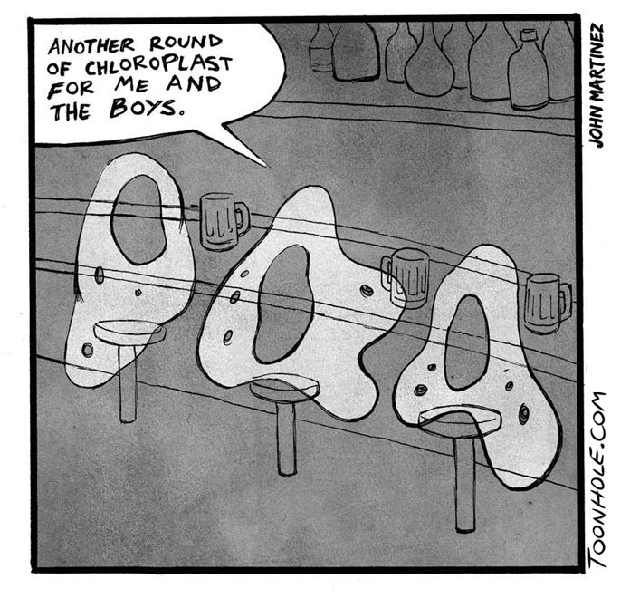 Amoeba