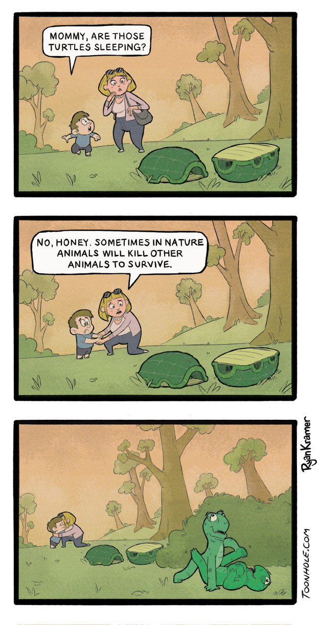 Turtle Shells